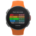 POLAR VANTAGE V ORA EMEA/LATA M/S
